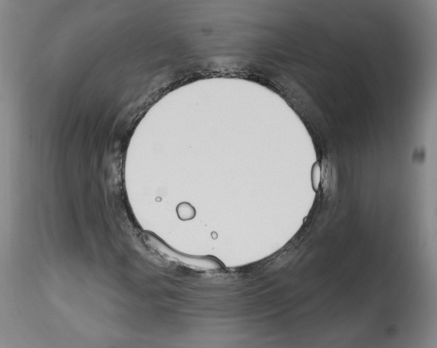 X0000112911107200910051036