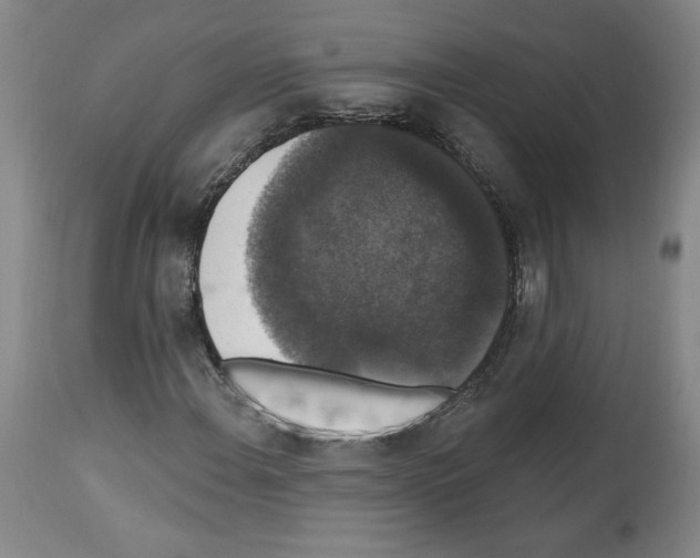 X0000112911108200910051036