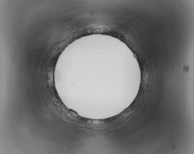 X0000112911109200910051036