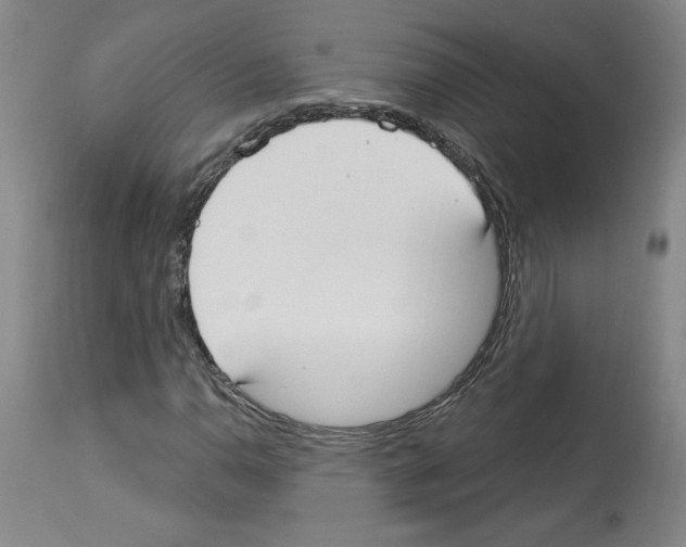 X0000112911110200910051036
