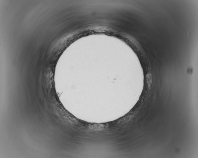 X0000112911111200910051036