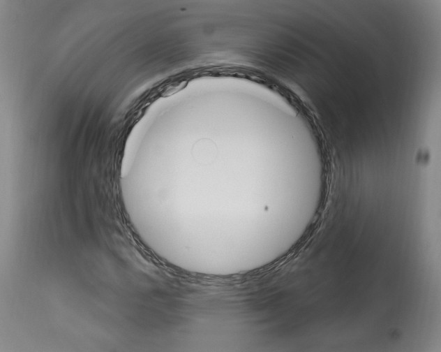 X0000112911112200910051036