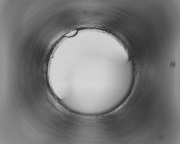 X0000112911114200910051036