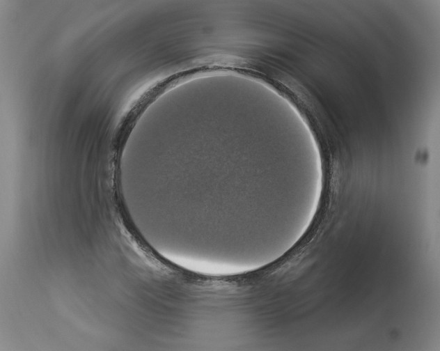 X0000112911115200910051036