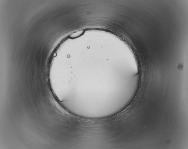 X0000112911116200910051036