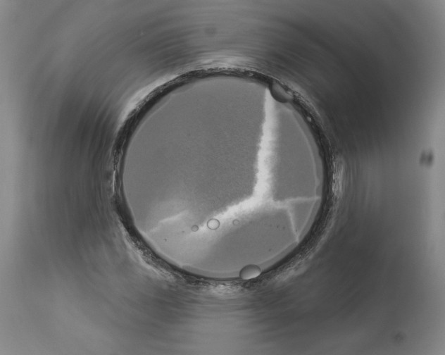 X0000112911117200910051036
