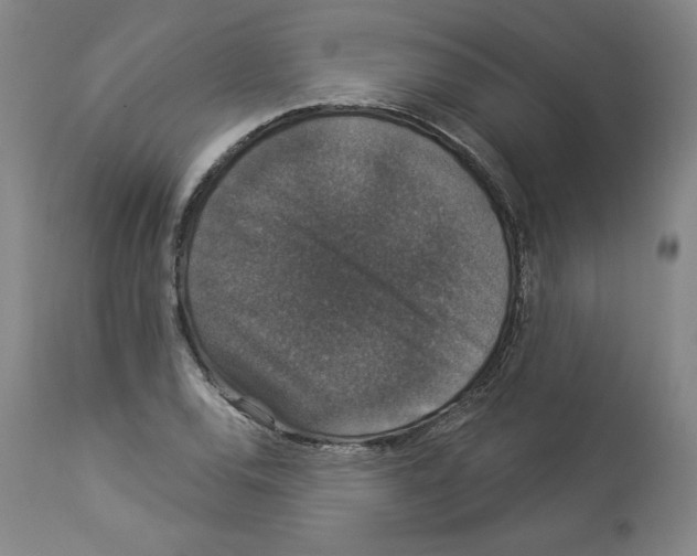 X0000112911120200910051036