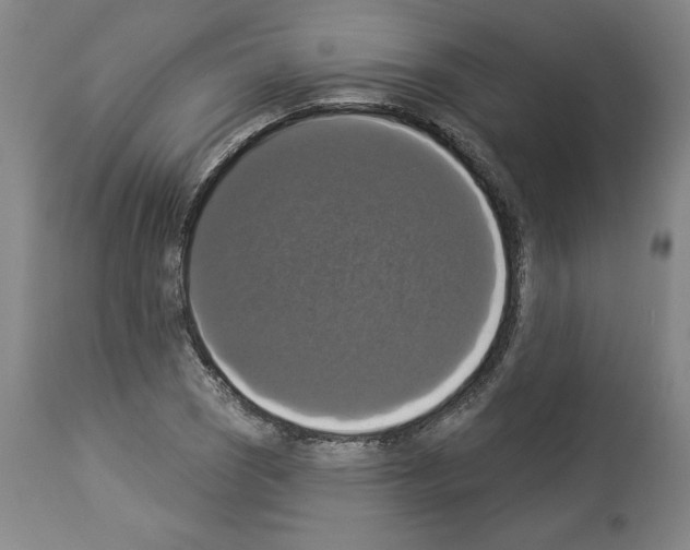 X0000112911121200910051036