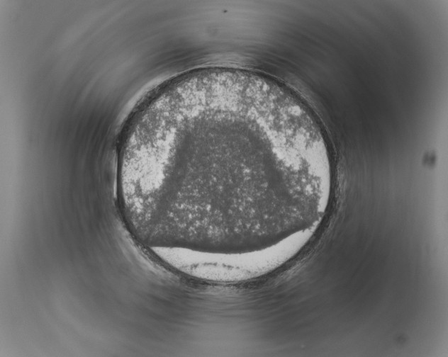 X0000112911123200910051036