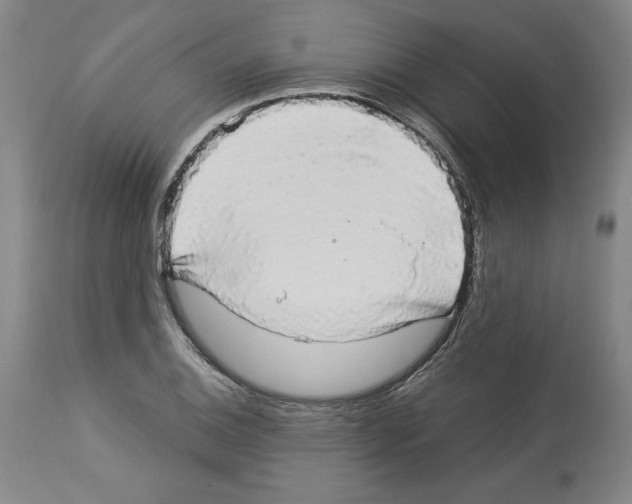 X0000112911124200910051036