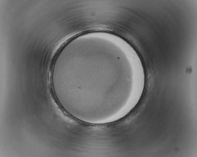 X0000112911125200910051036