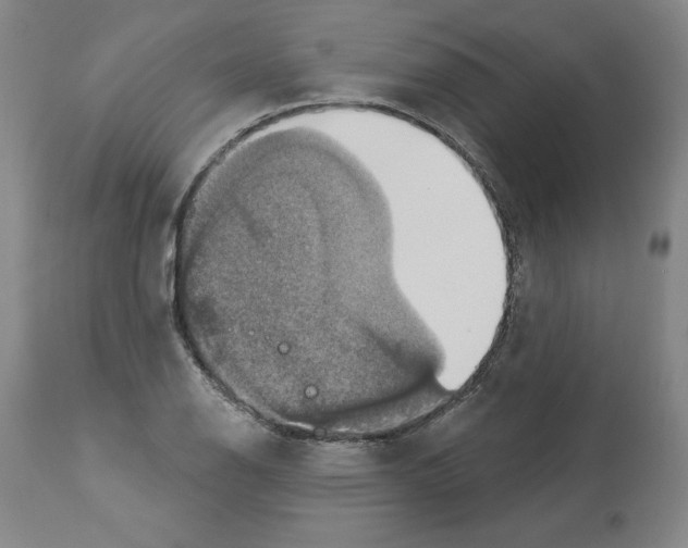 X0000112911126200910051036