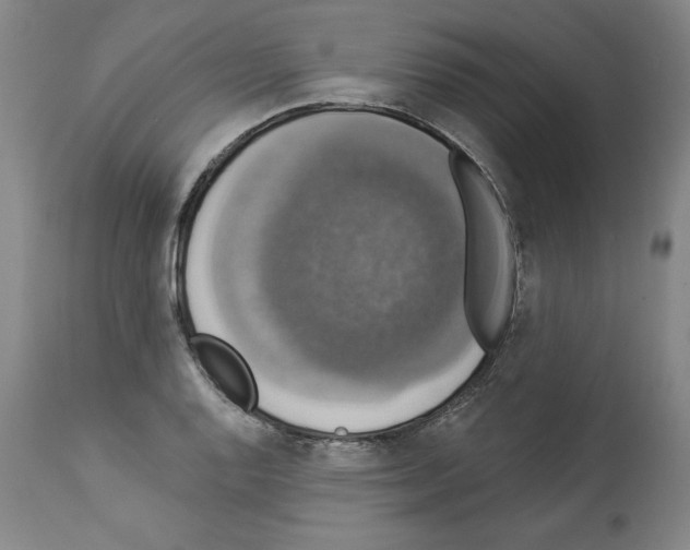 X0000112911128200910051036
