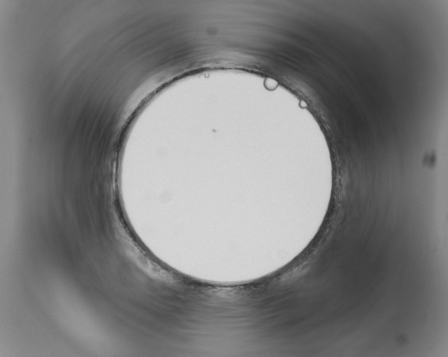 X0000112911130200910051036
