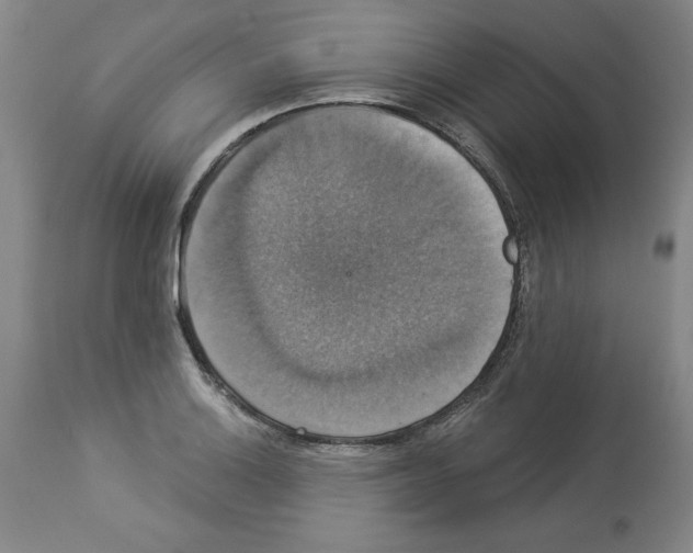 X0000112911132200910051036