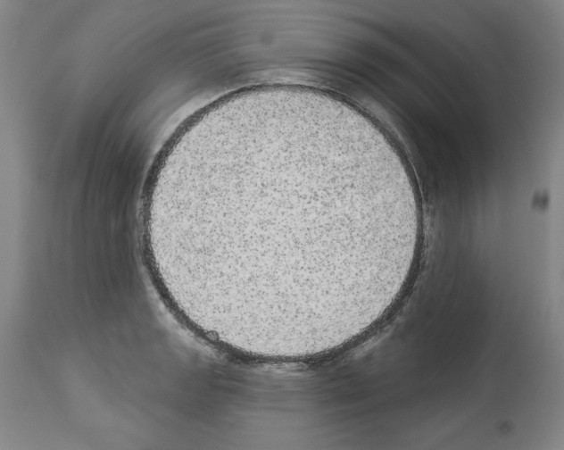 X0000112911133200910051036