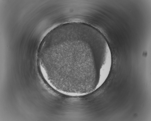 X0000112911134200910051036