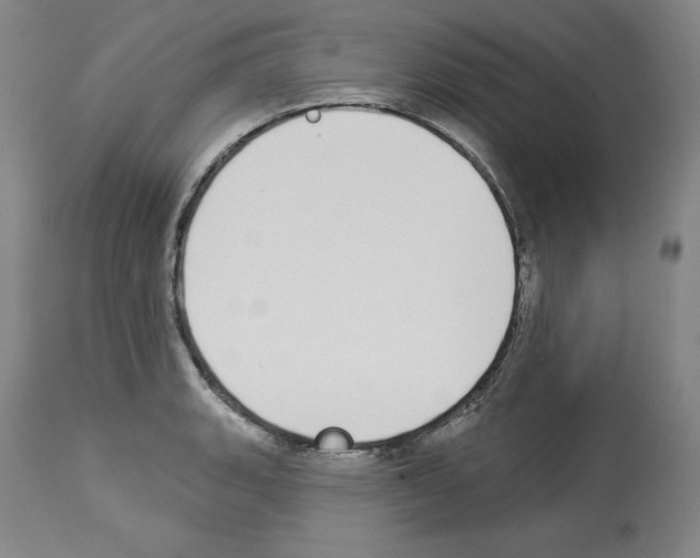 X0000112911135200910051036