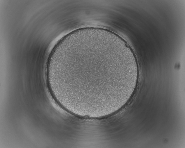 X0000112911136200910051036