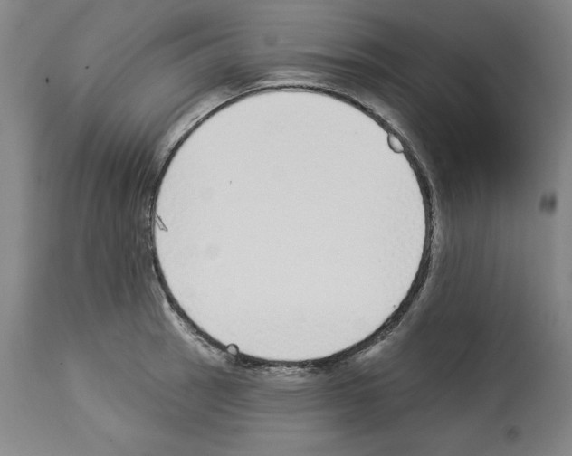 X0000112911137200910051036