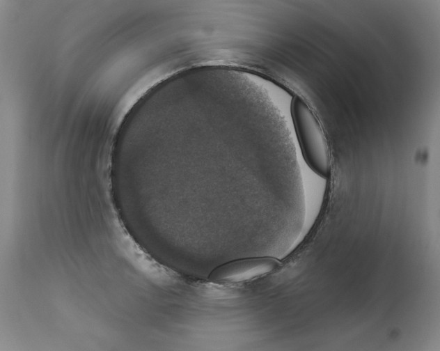 X0000112911138200910051036
