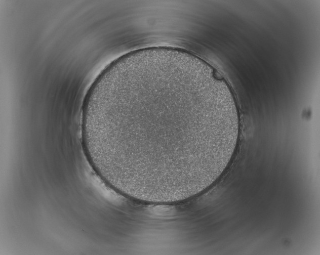 X0000112911140200910051036