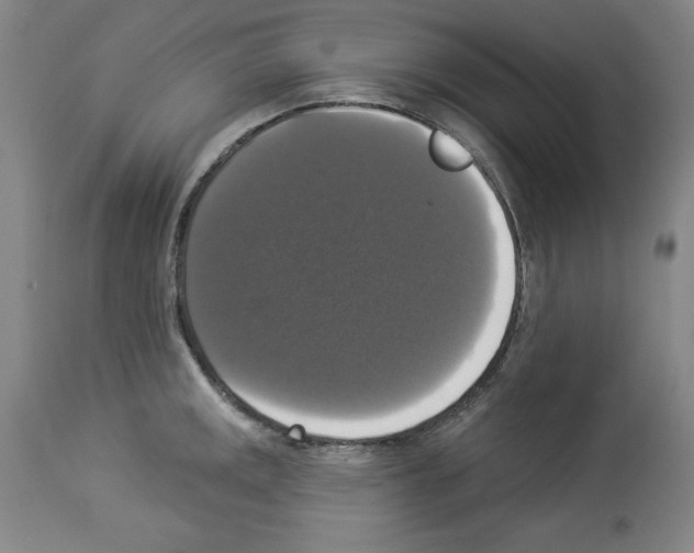 X0000112911141200910051036