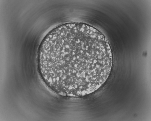 X0000112911142200910051036