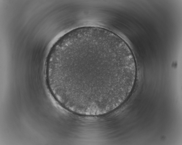 X0000112911144200910051036