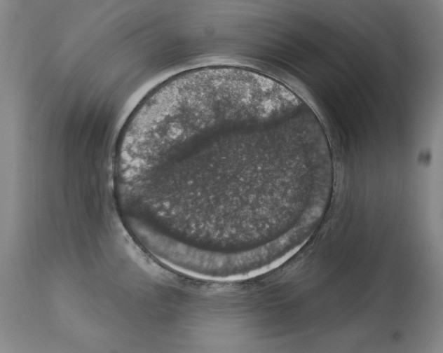 X0000112911148200910051036