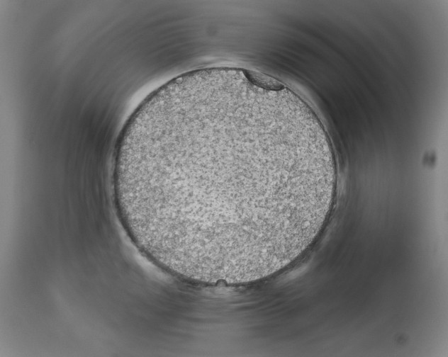 X0000112911149200910051036