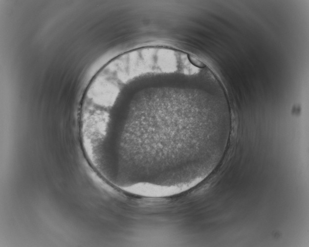 X0000112911151200910051036