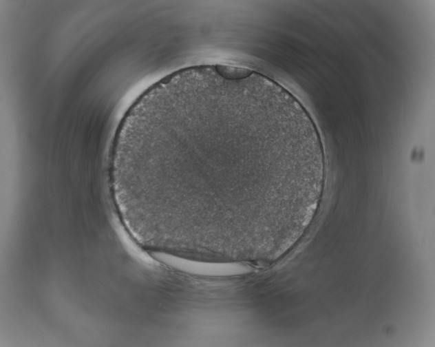 X0000112911152200910051036