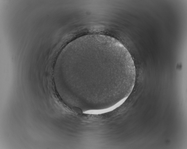 X0000112911153200910051036