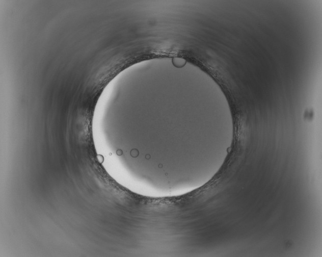 X0000112911154200910051036