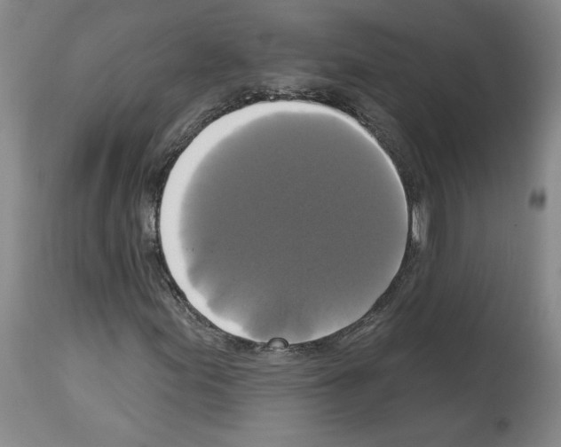 X0000112911155200910051036