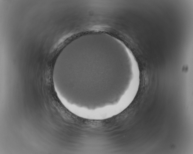 X0000112911158200910051036