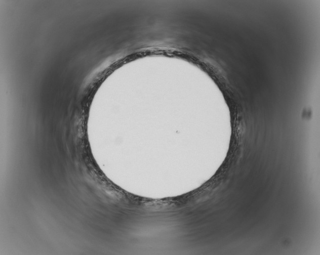 X0000112911159200910051036