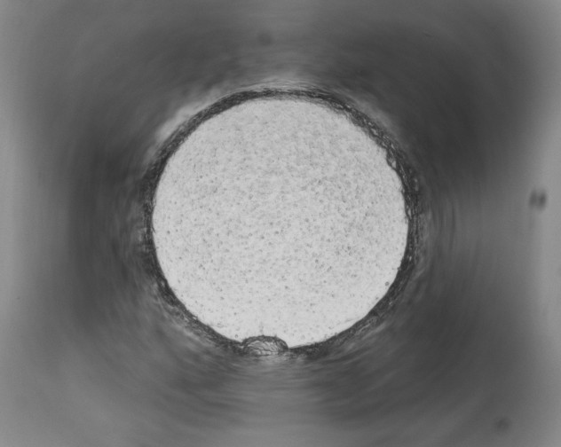 X0000112911160200910051036