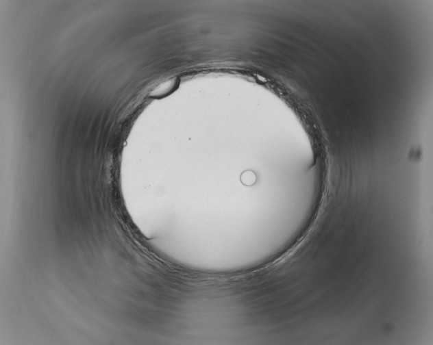 X0000112911161200910051036
