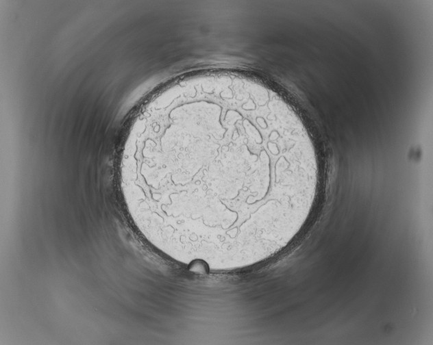 X0000112911163200910051035