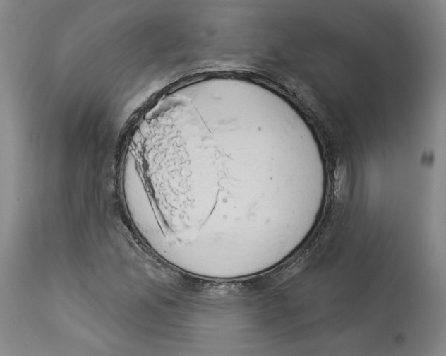 X0000112911165200910051035