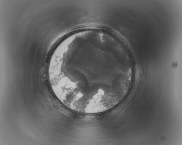 X0000112911166200910051035