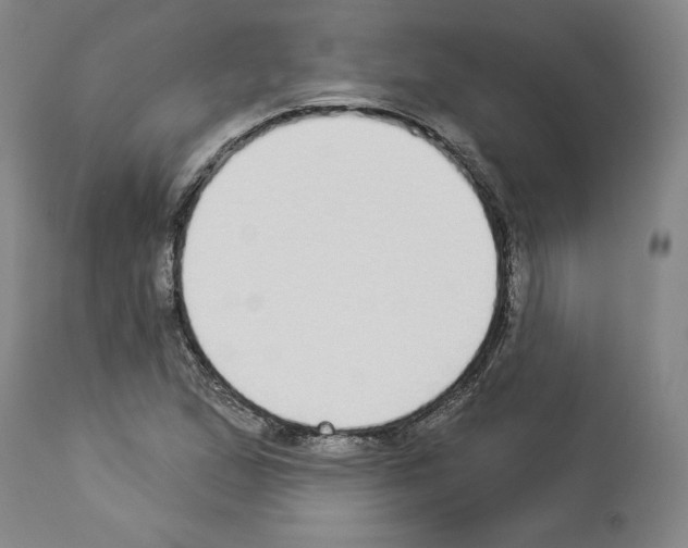 X0000112911167200910051035