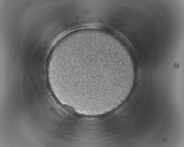 X0000112911168200910051035