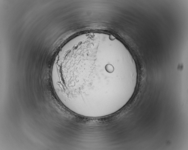 X0000112911169200910051035