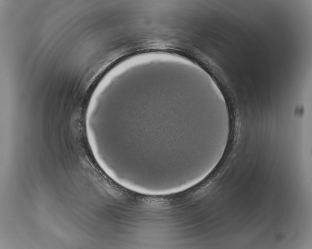 X0000112911170200910051035