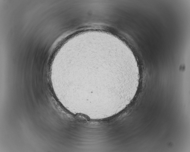 X0000112911172200910051035