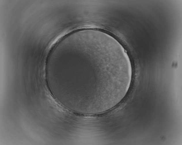 X0000112911173200910051035