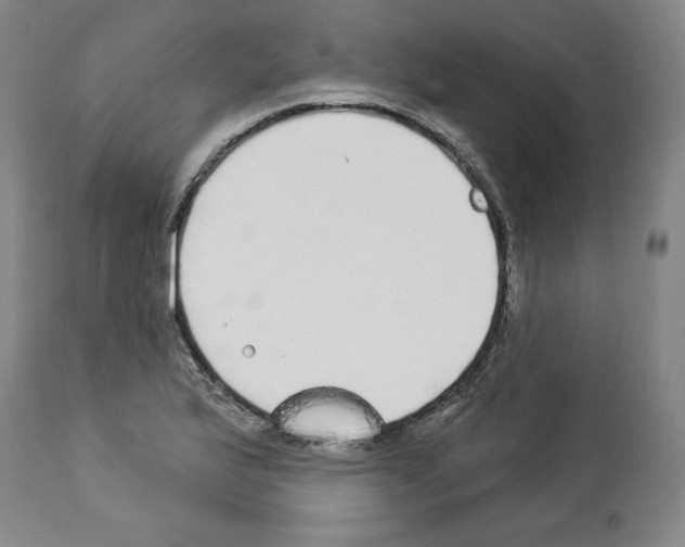 X0000112911175200910051035